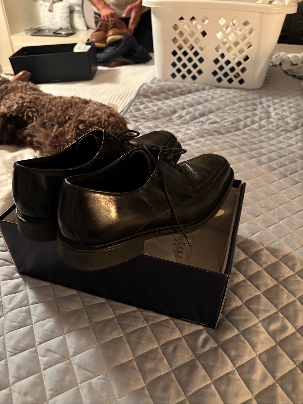 Bostonian Black Leather Men’s Derby Oxfords